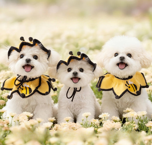 Cute Bee Dog Costume Set | Funny Bumblebee Pet Hat & Collar Outfit for Small Dogs | HipiDogs Pet Halloween Costume