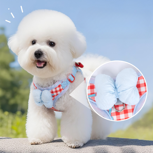 Cute Bow Dog Harness and Leash Set – Adjustable Soft Vest Harness for Small Dogs, Breathable No Pull Puppy Harness