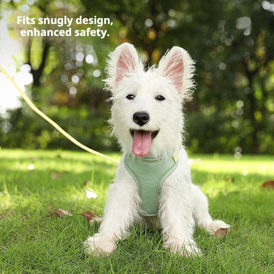 Adjustable No-Pull Pet Leash & Harness Set for Cats and Dogs