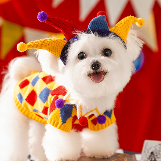 Crazy Circus Clothes for Small Dogs