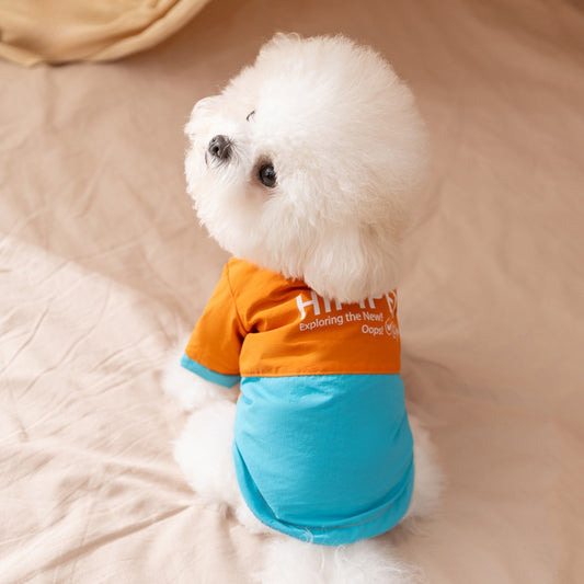 Color-Blocked Pet Sweater - Small Dog Warm Coat
