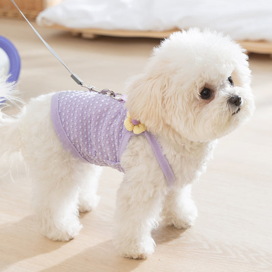 Cute Flower Dog Harness Vest | Breathable Mesh Pet Harness with Leash Ring for Small Dogs & Cats | HipiDogs