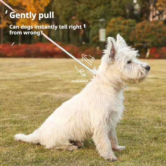 Explosion-Proof P-Rope for Dogs – Durable Pet Leash with Integrated Design