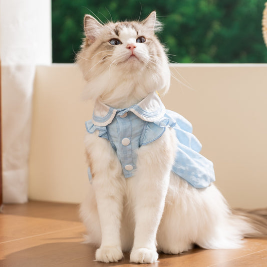 Cute Duck Cat Dress – Soft Summer Outfit