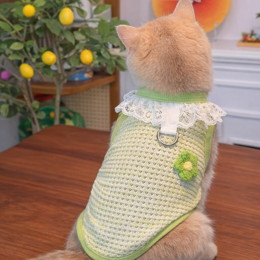 Lace Collar Pet Harness Vest – Breathable Floral Summer Fit