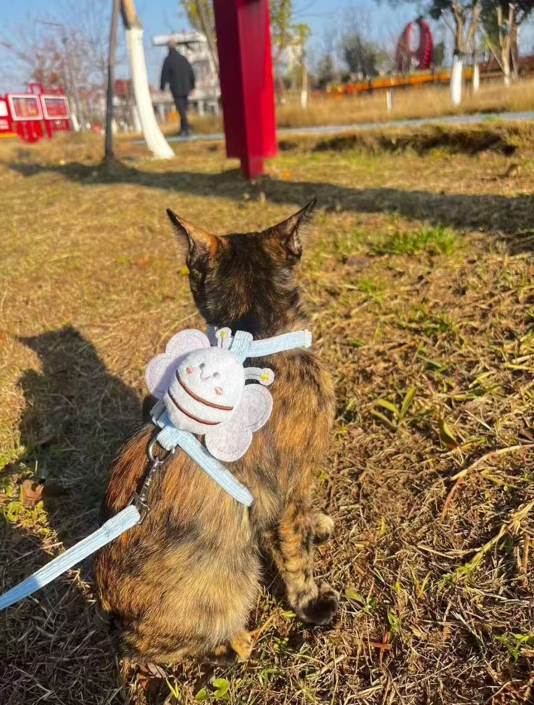 Ultimate Dog Walking Gear Guide: What Every Dog Owner Actually Needs
