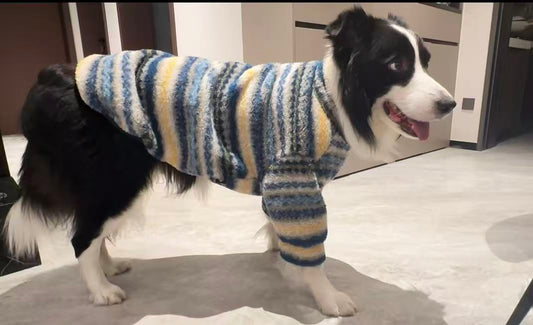 Top 11 Spring Dog Outfits Every Stylish Pup Should Have in 2026