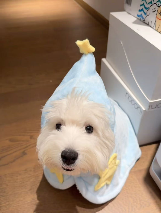 The Complete Guide to Choosing the Right Clothes for Your Dog (2026 Edition)