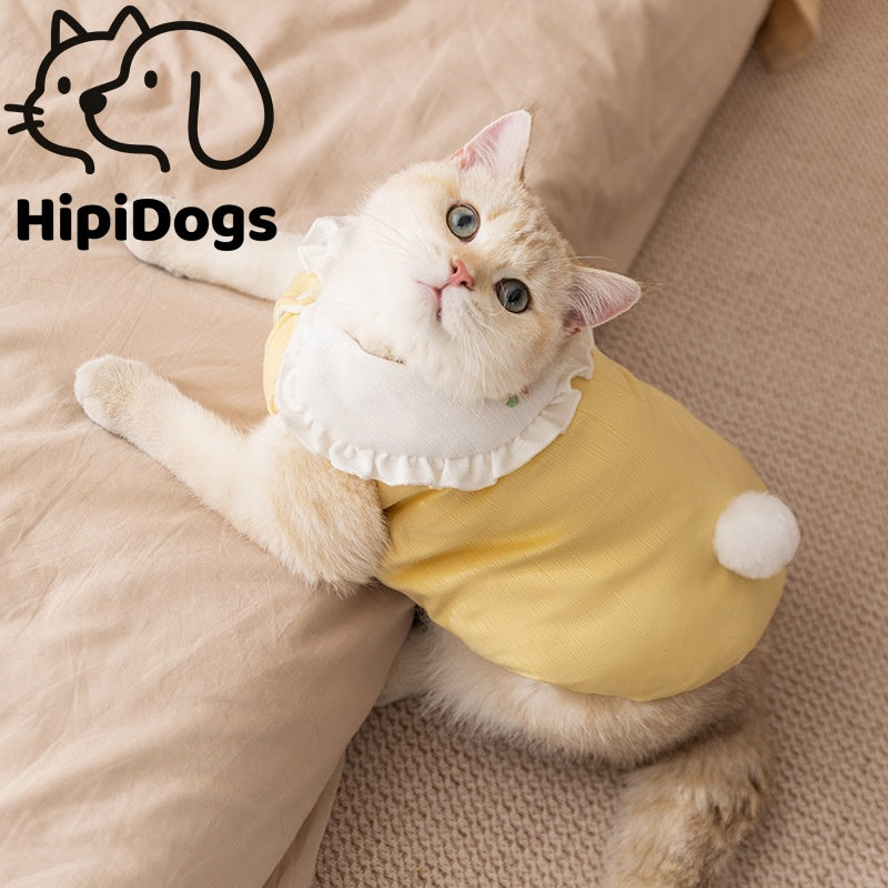 Cute Bunny Cat Sweater | Soft Warm Pet Clothes for Cats & Small Dogs | Winter Rabbit Tail Cat Outfit | HipiDogs