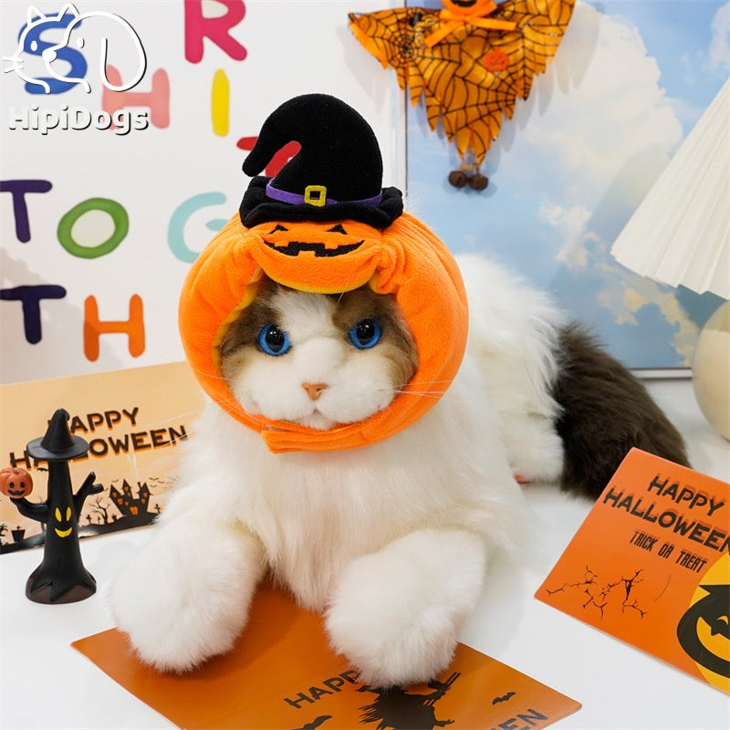Halloween Cat Costume Pumpkin Witch Hat – Cute Dog & Cat Halloween Pet Costume