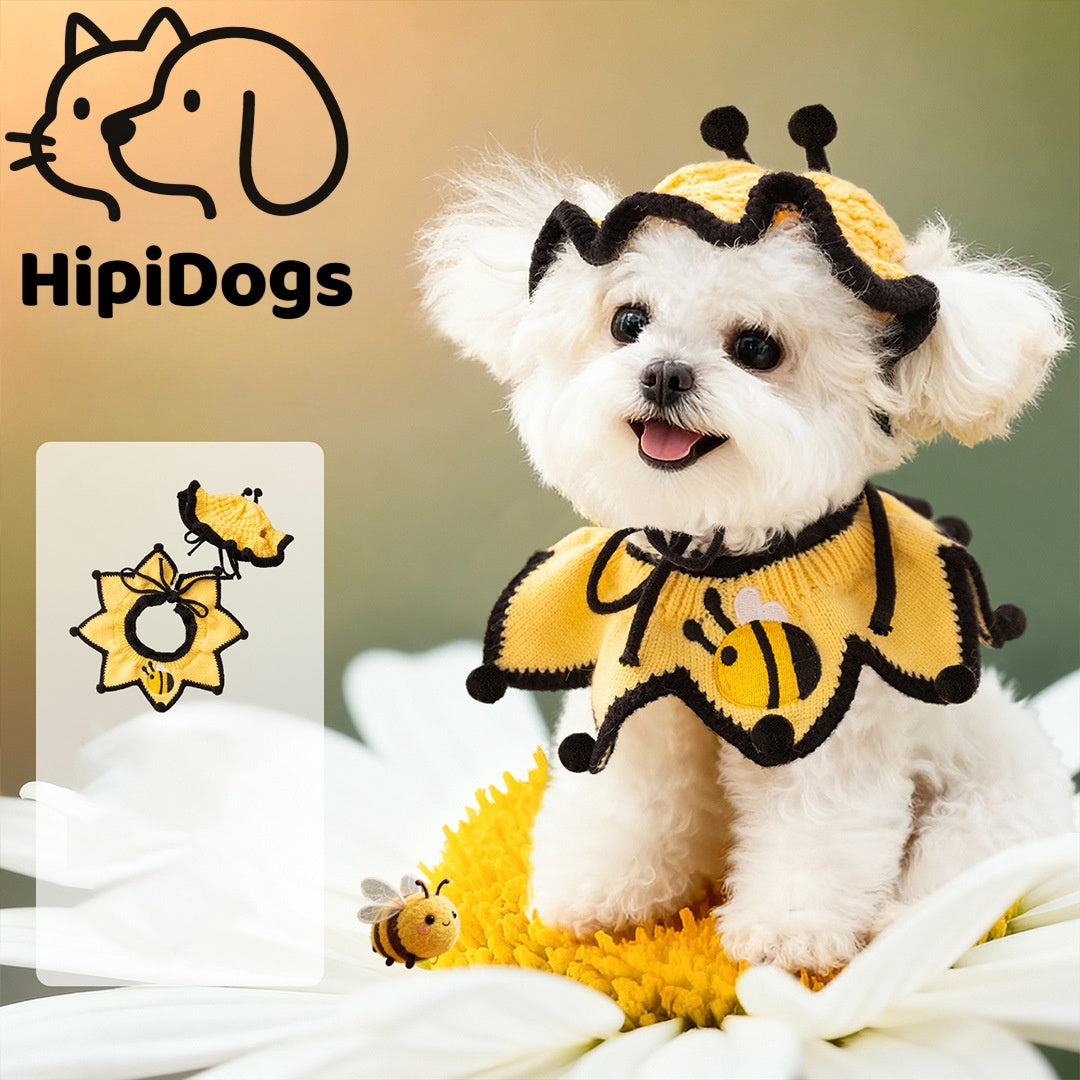 Cute Bee Dog Costume Set | Funny Bumblebee Pet Hat & Collar Outfit for Small Dogs | HipiDogs Pet Halloween Costume