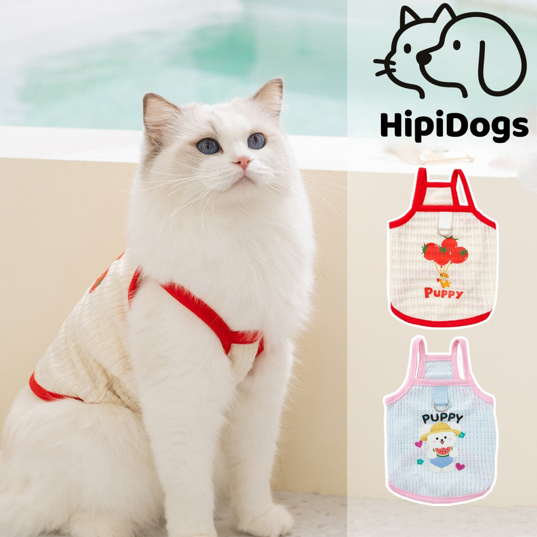 Cute Cat Harness Vest – Soft Breathable Adjustable Fit