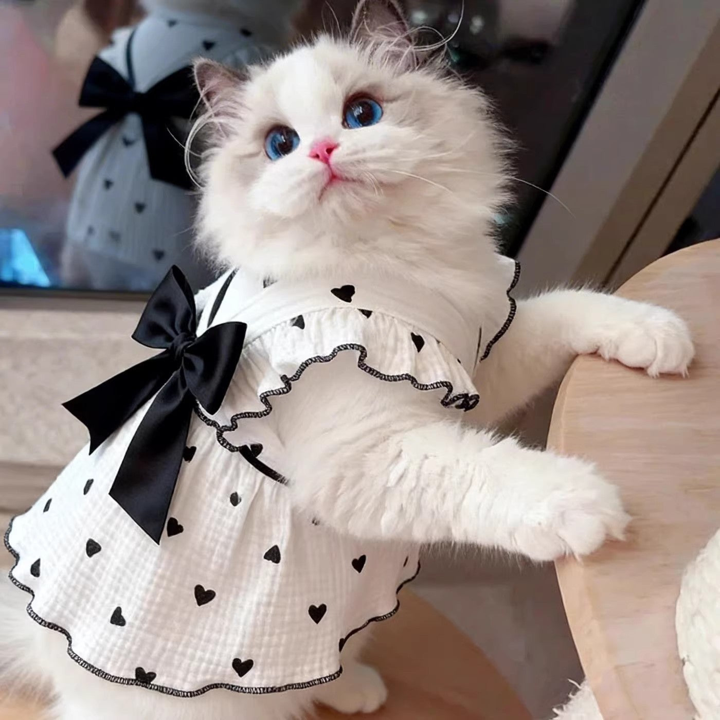Black Bow Cat Dress – Elegant Heart Print Princess Outfit