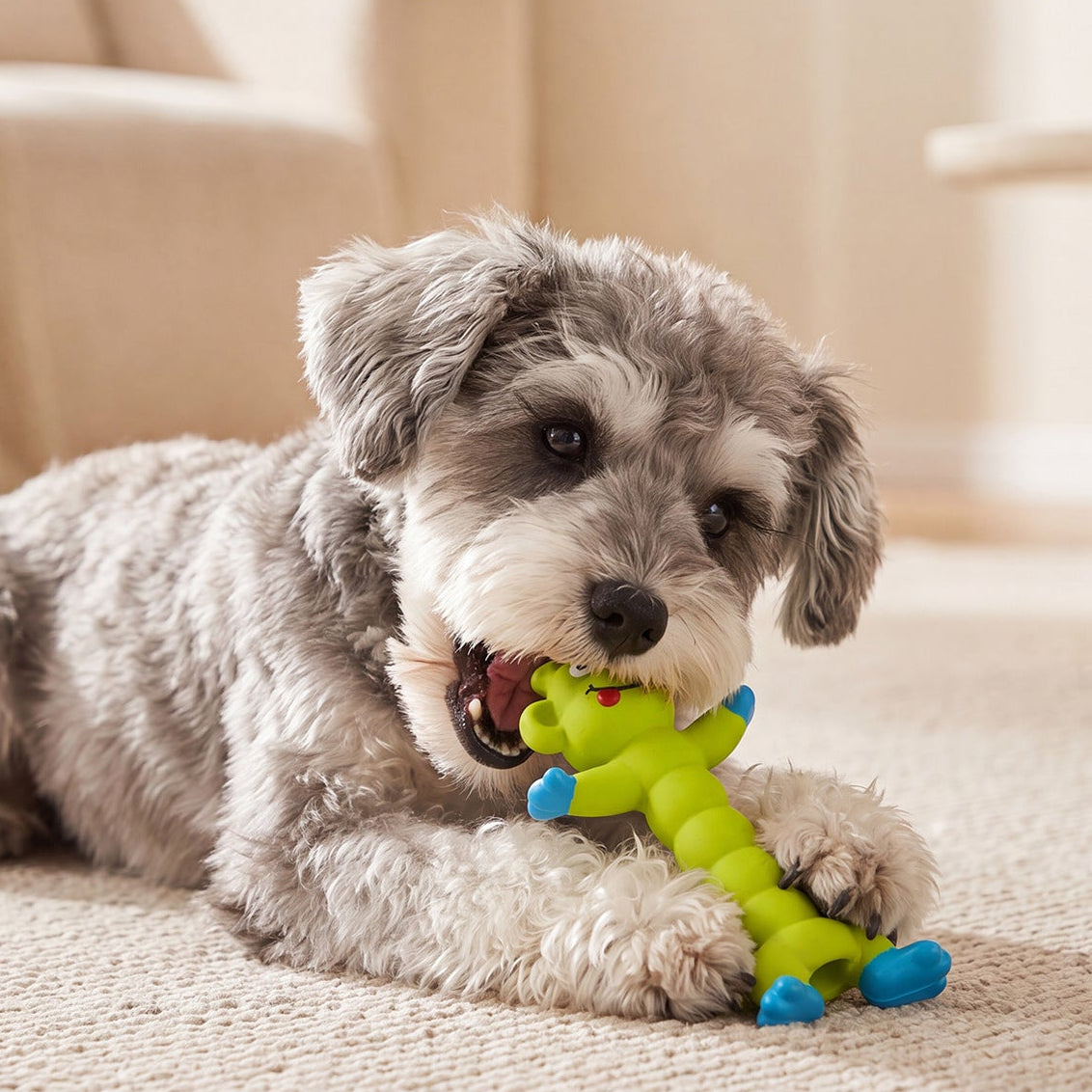 HipiDogs Floating Dog Toy