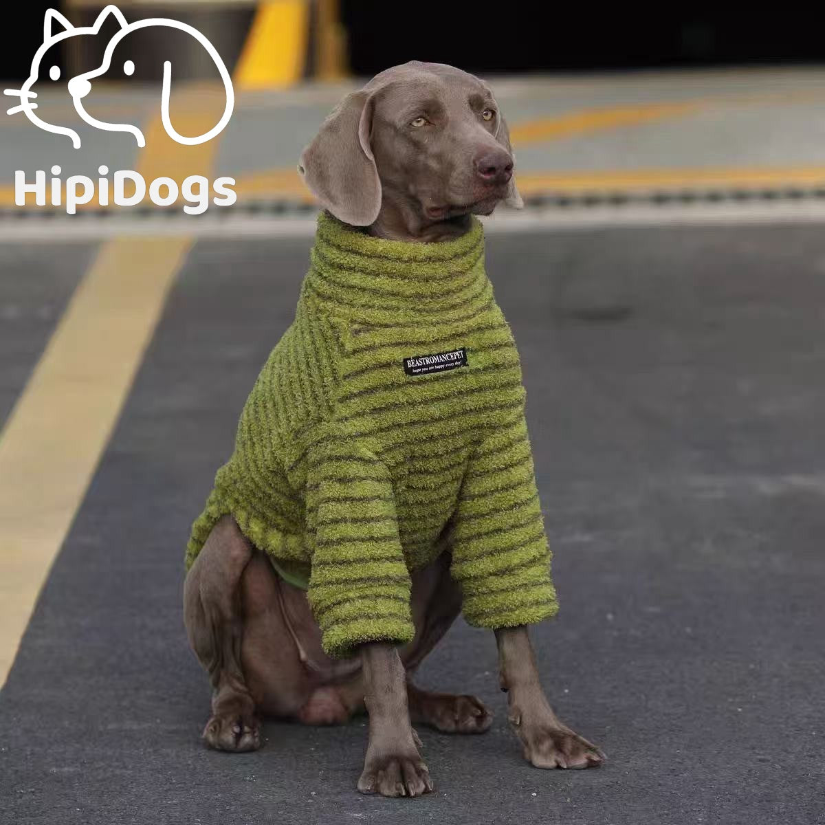 Warm Dog Turtleneck Sweater – Soft Winter Dog Sweater for Medium Large Dogs Cold Weather Clothes