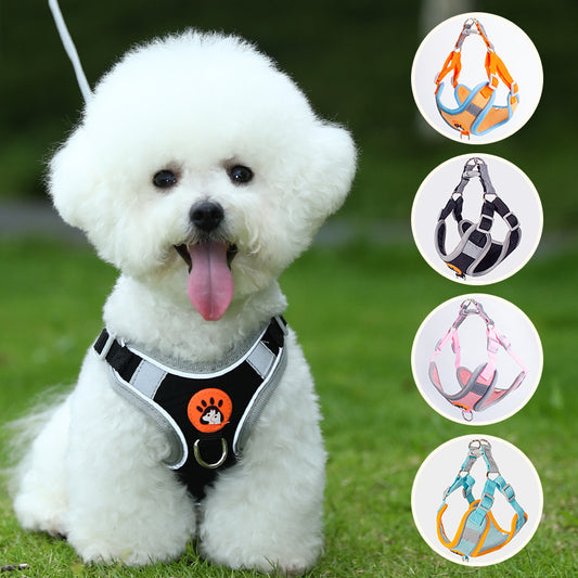 Breathable Mesh Dog Harness – Lightweight Adjustable Vest for Small Dogs