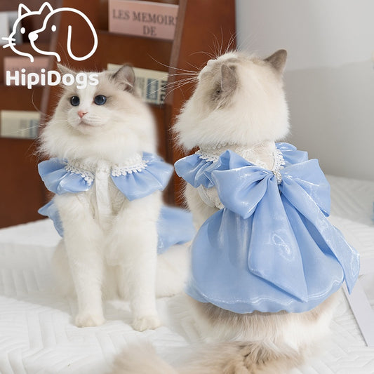 Princess Cat Dress with Bow – Elegant Lace Party Outfit