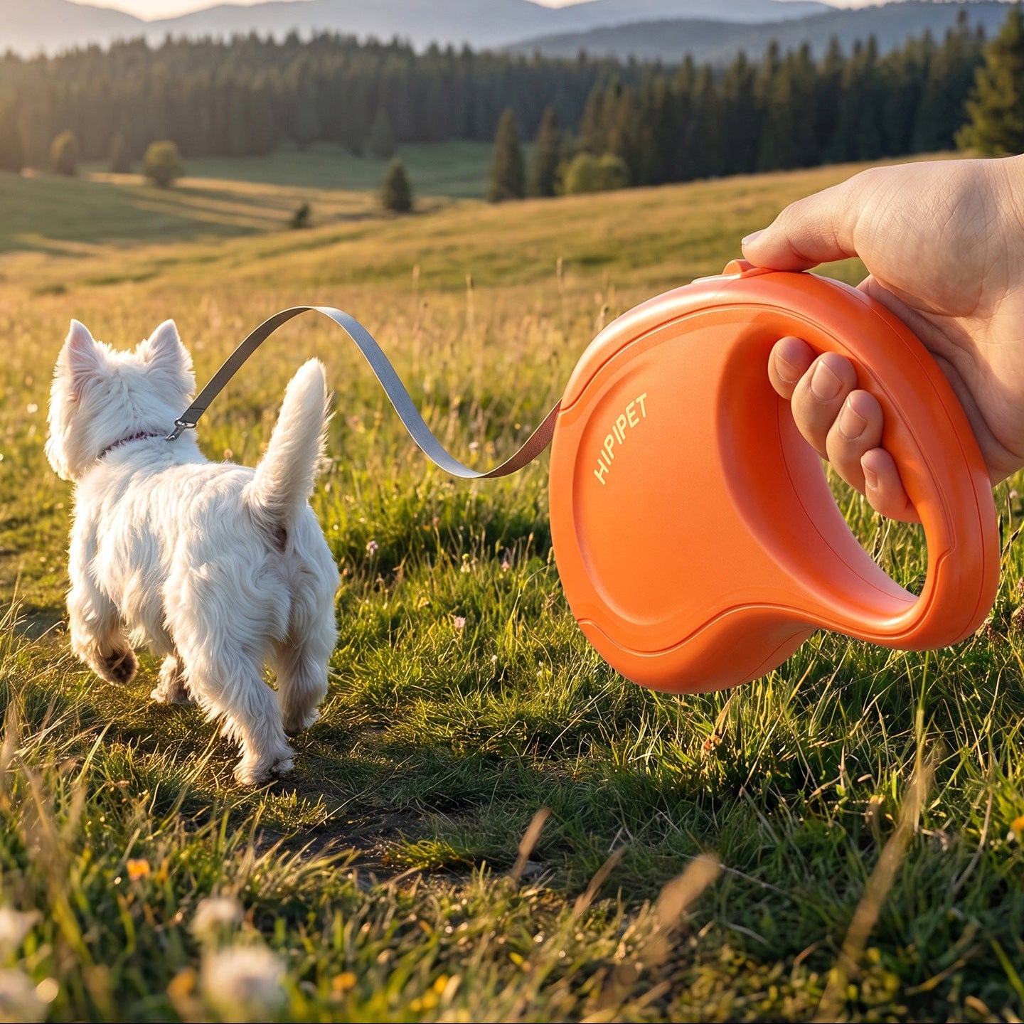 Retractable Dog Leash with Easy-Grip Handle for Daily Walks