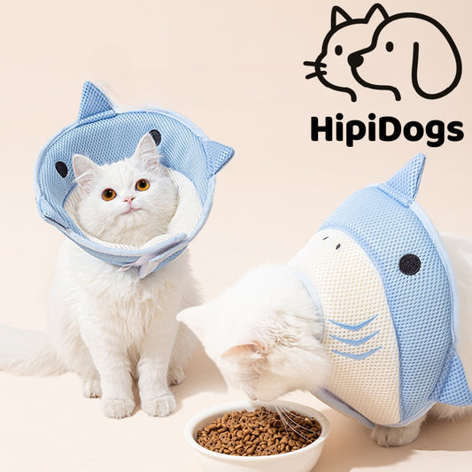 Fish-Shaped Cat Collar | Cute & Comfortable Shark Design for Cats | Hipidogs Pet Accessories