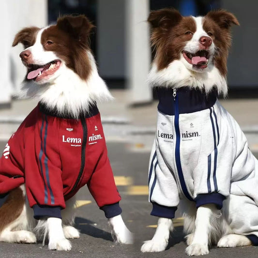 Warm Dog Jacket with Zipper – Sport Style Dog Coat for Medium Large Dogs Winter Pet Clothes