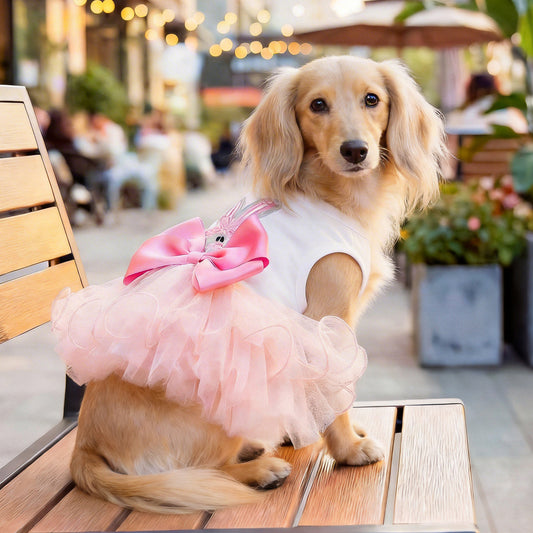 Cute Bunny Dog Dress | Easter Pet Tutu Dress with Bow | Princess Pet Outfit for Small Dogs & Cats | HipiDogs