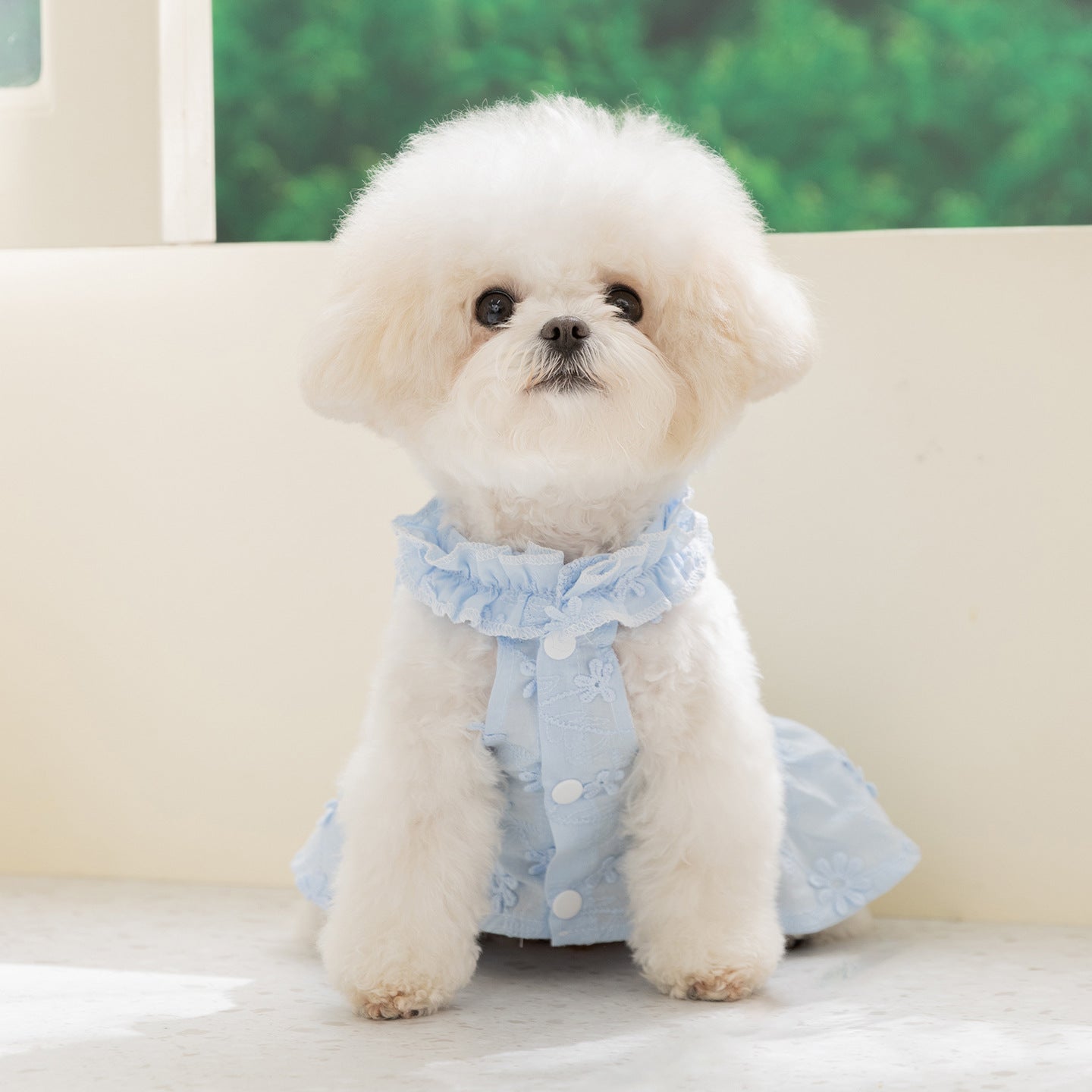 Floral Dog Harness Dress – Lightweight Ruffle Summer Fit