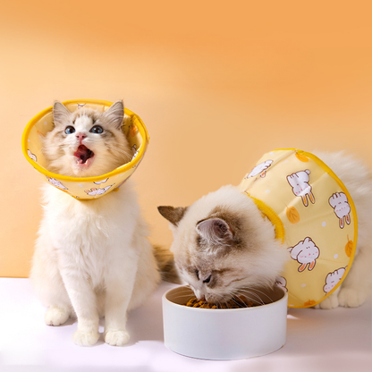 Yellow Bunny Cat Collar | Soft & Comfortable Recovery Collar for Cats | Hipidogs Pet Accessories