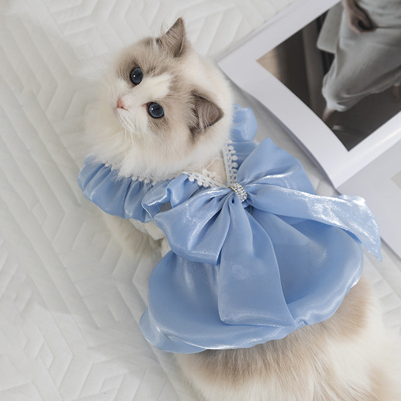 Princess Cat Dress with Bow – Elegant Lace Party Outfit