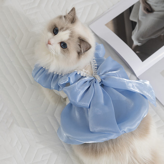 Princess Cat Dress with Bow – Elegant Lace Party Outfit