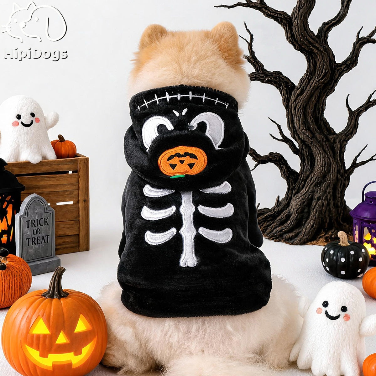 Halloween Dog Costume – Black Skeleton Hoodie with Pumpkin Hood for Small Dogs