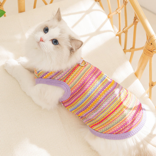 Colorful Striped Cat Harness