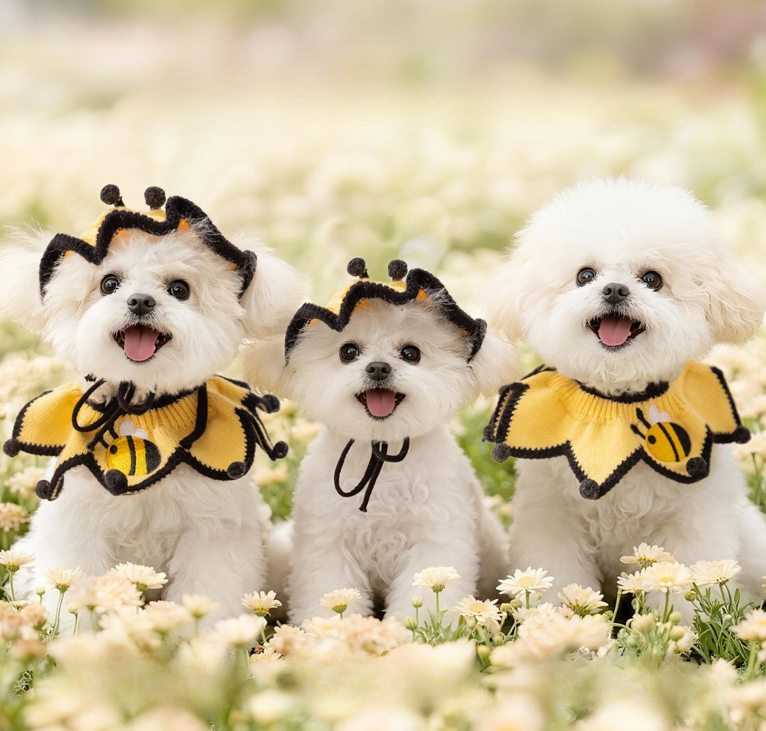 Cute Bee Dog Costume Set | Funny Bumblebee Pet Hat & Collar Outfit for Small Dogs | HipiDogs Pet Halloween Costume