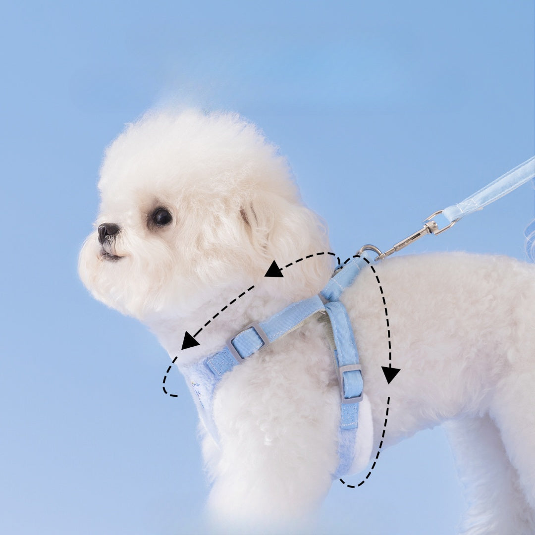 Winter Dog Boots | Warm Fleece Pet Shoes with Non-Slip Sole | Waterproof Paw Protection for Small Dogs & Cats | HipiDogs