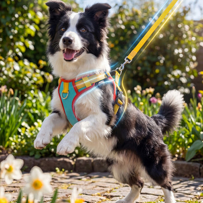 Adjustable No-Pull Dog Harness with Leash for Daily Walking