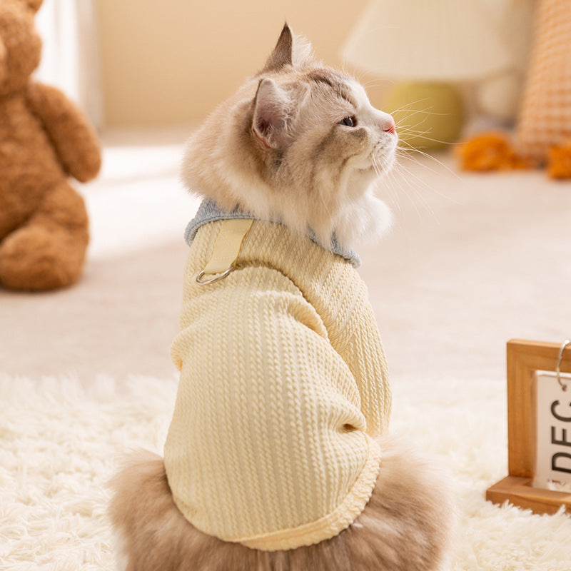 Stylish Yellow Cat Sweater | Soft & Comfortable Cat Shirt with Blue Collar | Hipidogs Pet Clothing