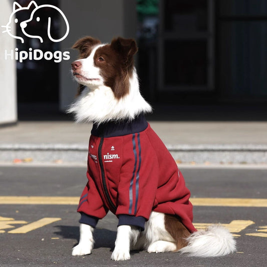 Warm Dog Jacket with Zipper – Sport Style Dog Coat for Medium Large Dogs Winter Pet Clothes