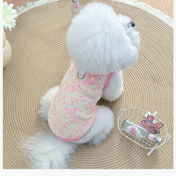 Lace Collar Pet Harness Vest – Breathable Floral Summer Fit