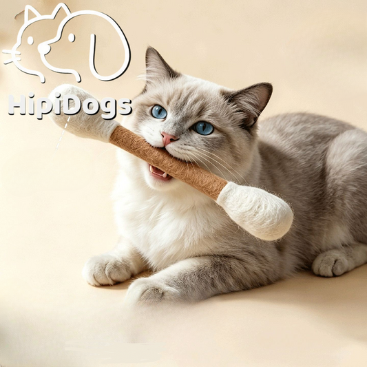 HipiDogs Catnip Chew Stick Toy | Natural Dental Chew for Cats