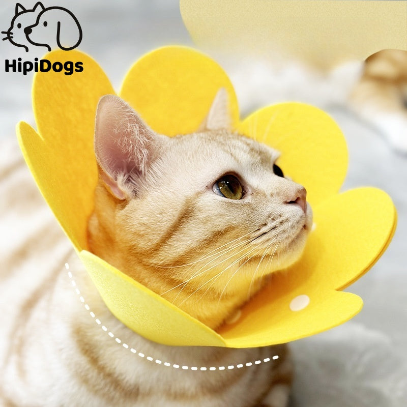 Comfortable and Stylish Flower Cat Collar – Soft, Skin-Friendly, Non-Restrictive Design