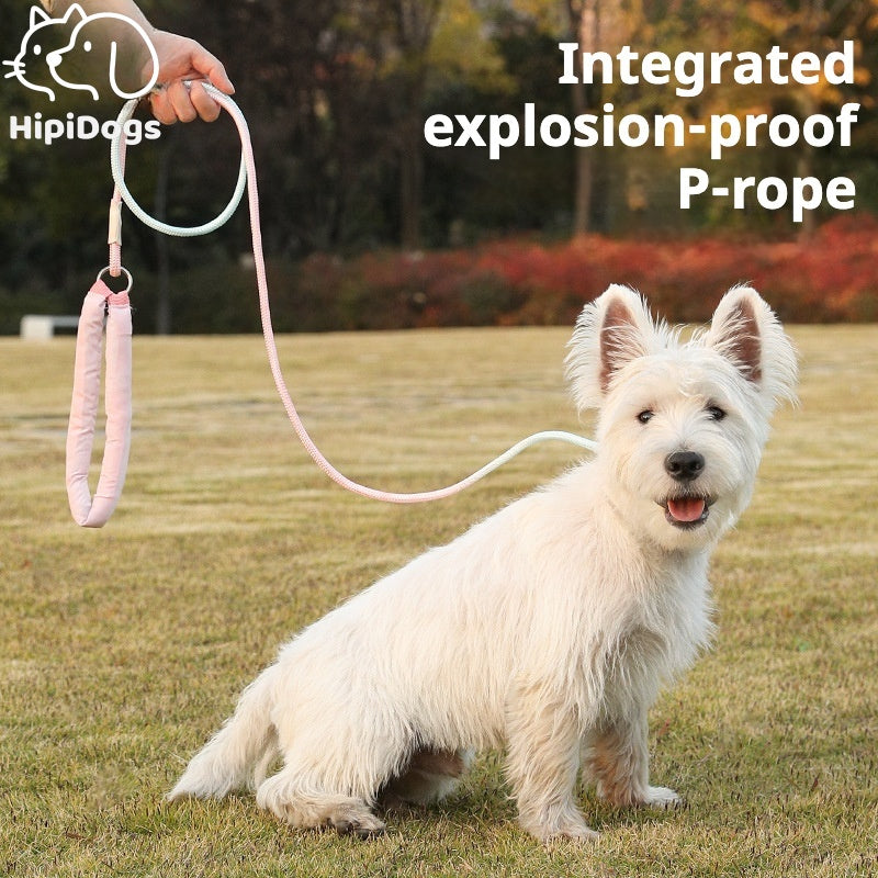 Explosion-Proof P-Rope for Dogs – Durable Pet Leash with Integrated Design