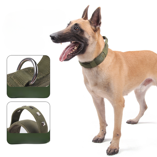Heavy Duty Tactical Dog Collar – Adjustable Military Style Dog Collar with Metal Buckle for Medium Large Dogs