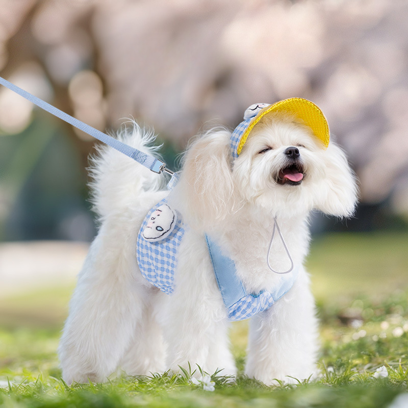 Cute Dog Harness Set with Leash & Hat – Adjustable Breathable Puppy Vest Harness for Small Dogs