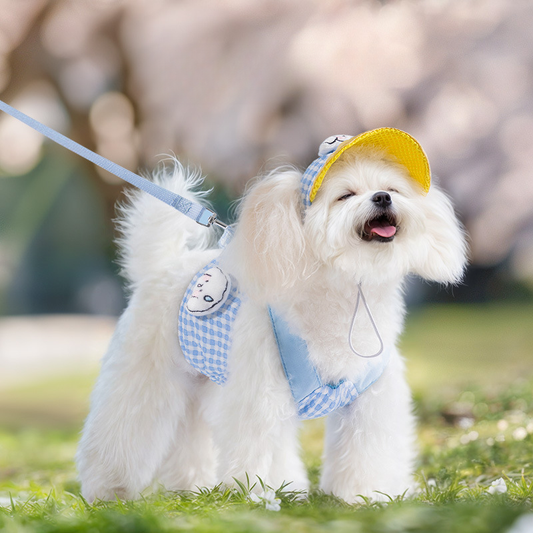 Cute Dog Harness Set with Leash & Hat – Adjustable Breathable Puppy Vest Harness for Small Dogs