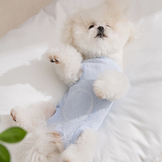 Breathable Cat Pajamas Shirt | Lightweight Summer Pet Clothes for Cats & Small Dogs | Soft Cartoon Cat Outfit | HipiDogs