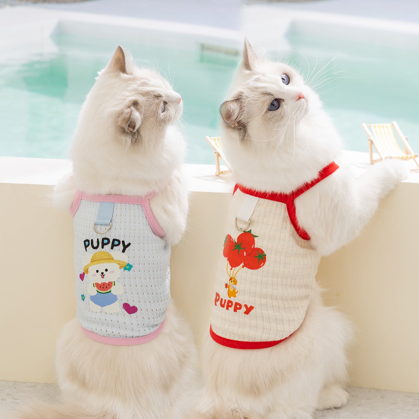 Cute Cat Harness Vest – Soft Breathable Adjustable Fit