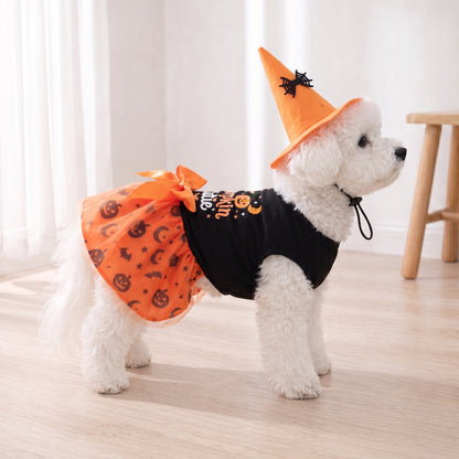 Halloween Witch Dog Dress with Hat – Pumpkin Tutu Costume for Small Dogs & Cats