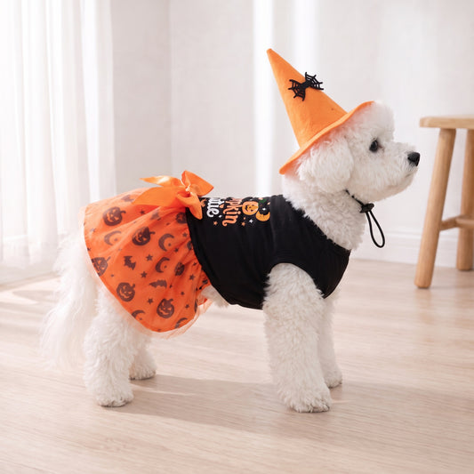 Halloween Witch Dog Dress with Hat – Pumpkin Tutu Costume for Small Dogs & Cats