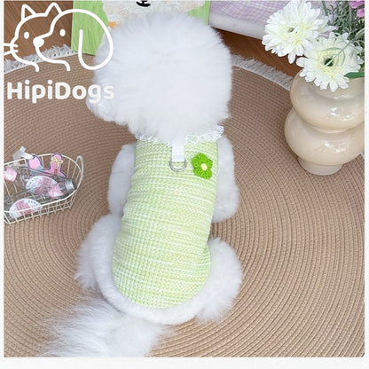 Lace Collar Pet Harness Vest – Breathable Floral Summer Fit