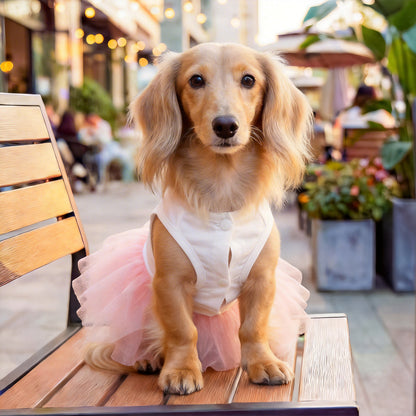 Cute Bunny Dog Dress | Easter Pet Tutu Dress with Bow | Princess Pet Outfit for Small Dogs & Cats | HipiDogs