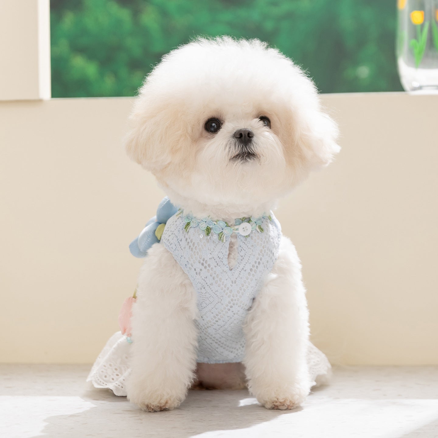 HipiDogs Floral Lace Princess Dress for Dogs & Cats